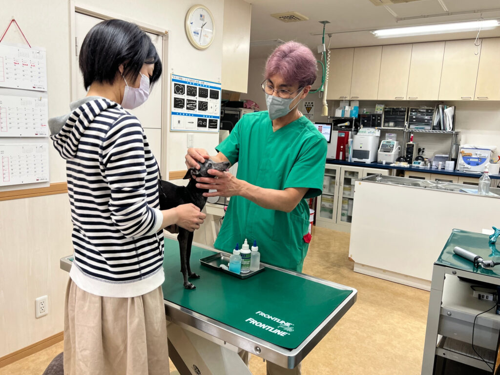 ー動物病院の健康診断で愛犬・愛猫の元気を守るためにできることー